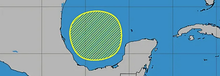 Servicio Meteorológico Nacional (SMN)
