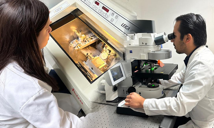 UAT, Universidad Autónoma de Tamaulipas