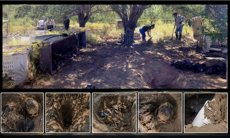Colectivo Amor por los desaparecidos en Tamaulipas