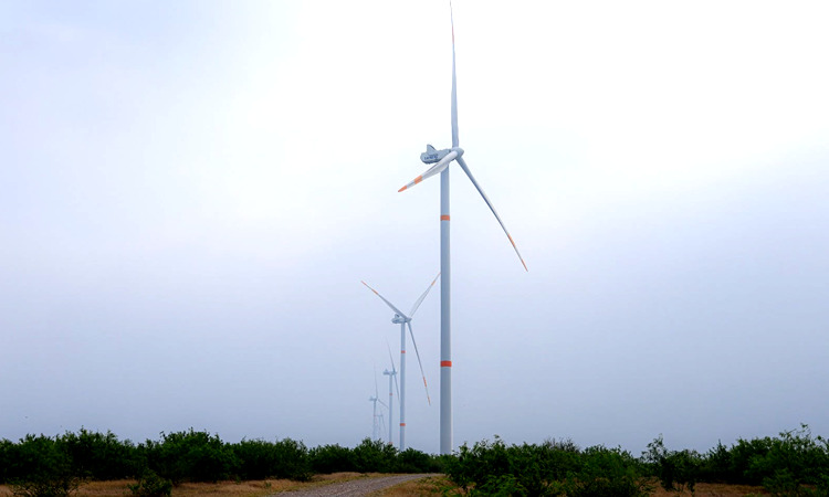 Secretaría de Desarrollo Energético en Tamaulipas