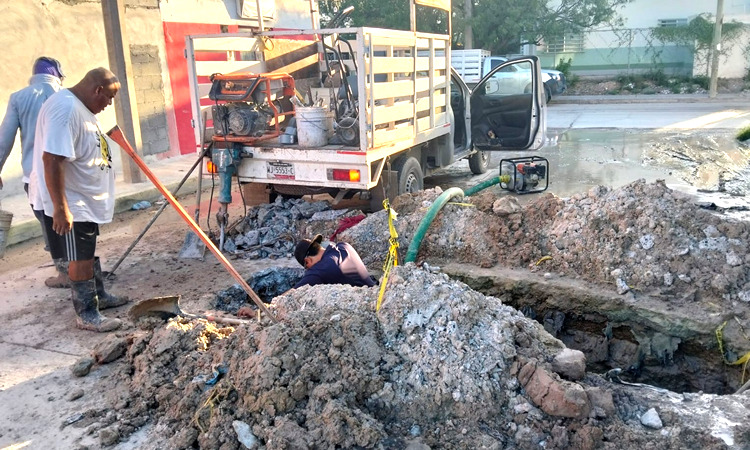 Comapa Reynosa