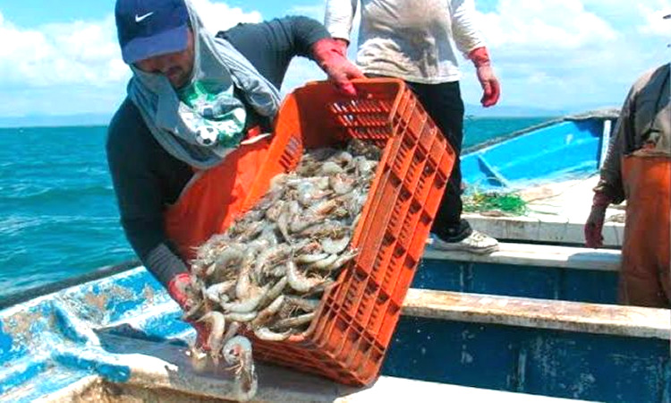 Secretaría de Desarrollo Rural, Pesca y Acuacultura