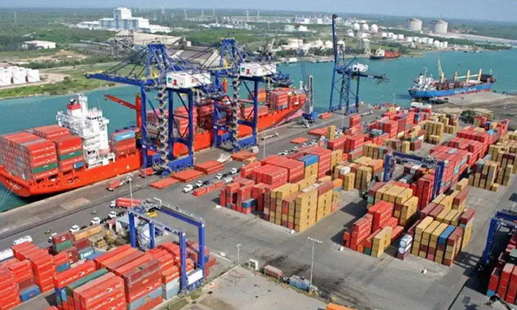 API, Puerto Norte, Matamoros