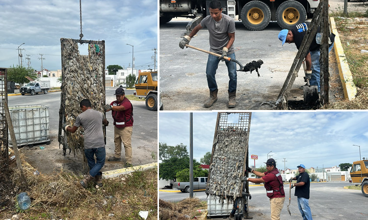 Comapa Reynosa