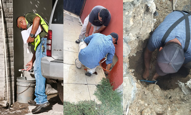 Comapa Reynosa