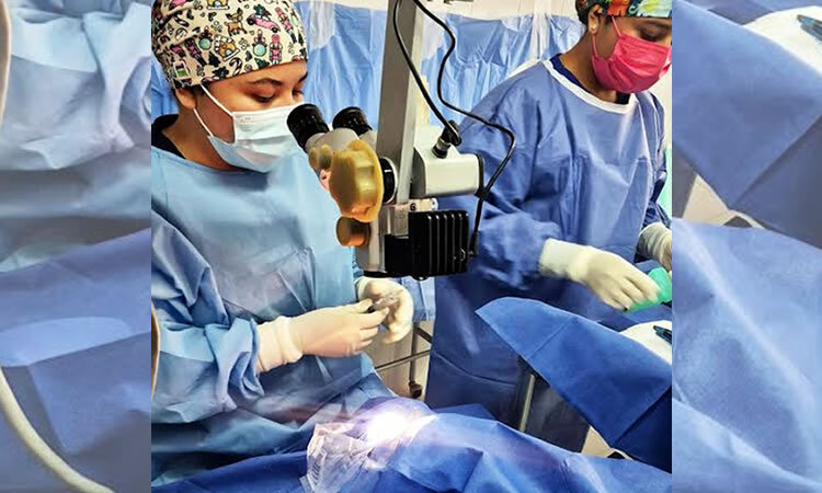 IMSS, Tamaulipas