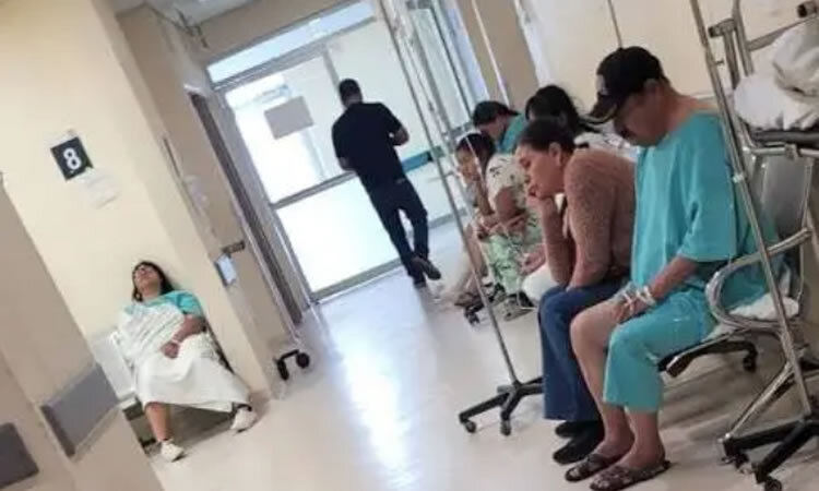 IMSS, Tamaulipas