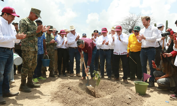 Gobierno de Tamaulipas