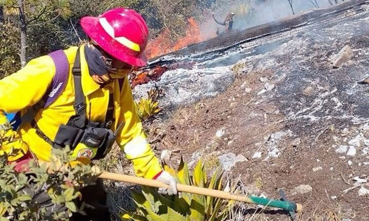 Comisión Nacional Forestal (CONAFOR) en Tamaulipas