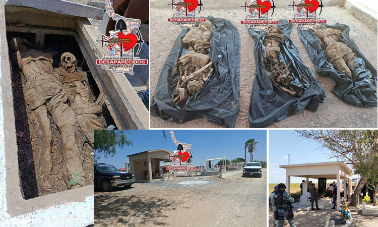 Colectivo Amor por los desaparecidos en Tamaulipas, inseguridad, violencia