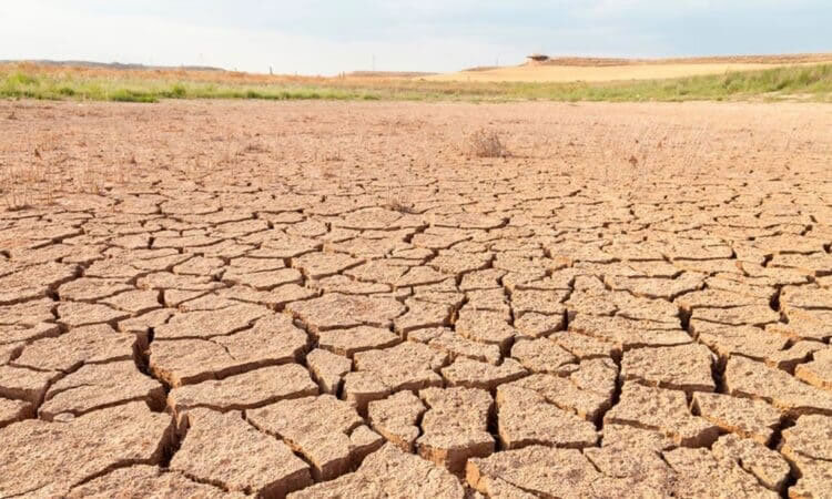 Estrategia Estatal de Cambio Climático