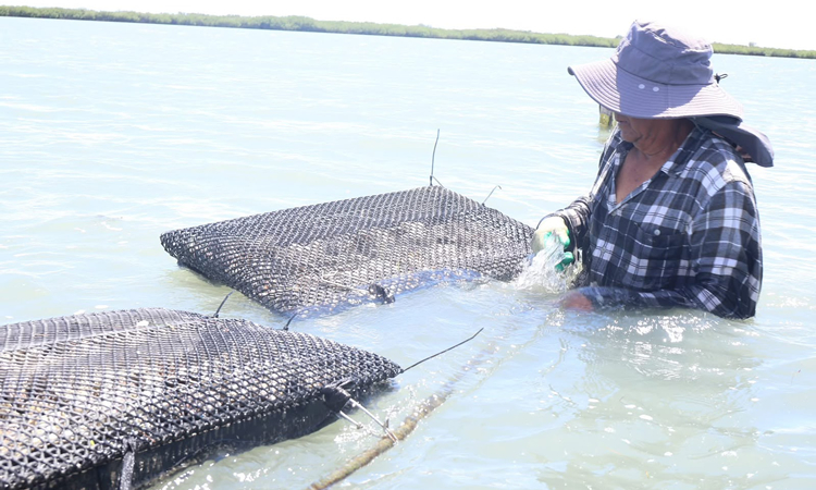 Secretaría de Desarrollo Rural, Pesca y Acuacultura