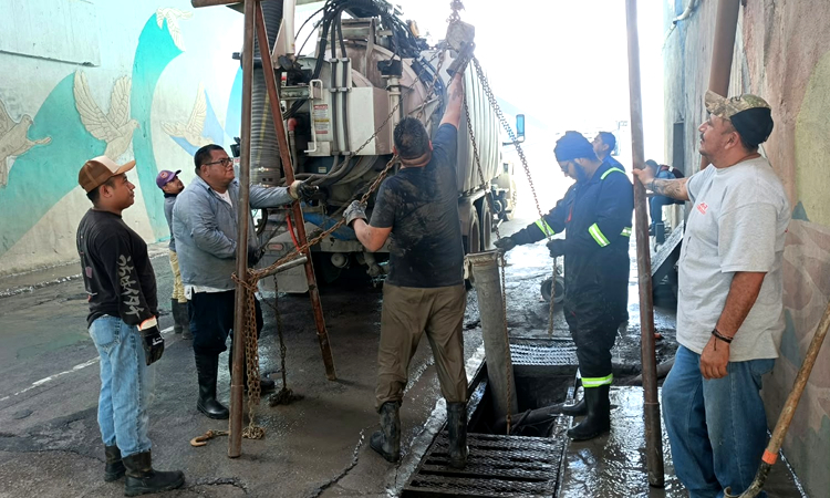 Comapa Reynosa
