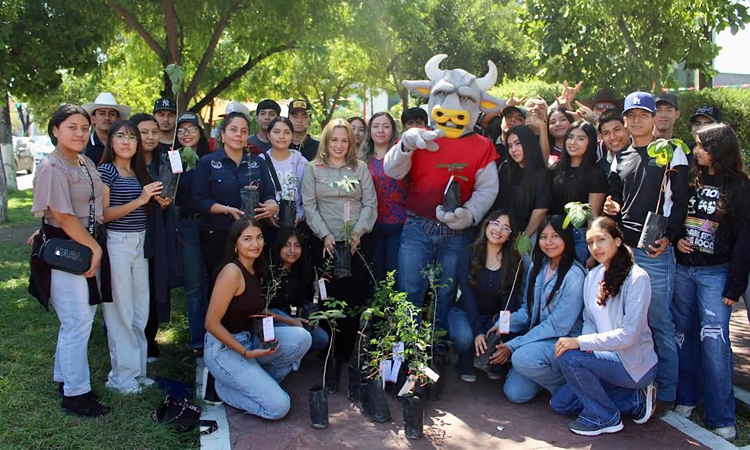 UAT, Universidad Autónoma de Tamaulipas