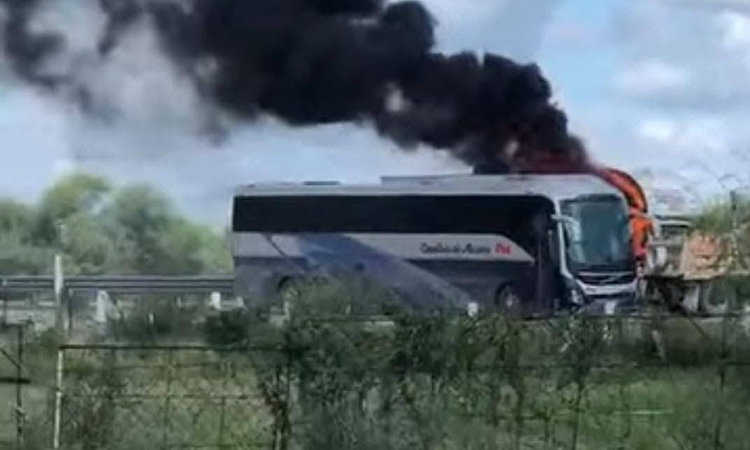 inseguridad, violencia, Tamaulipas