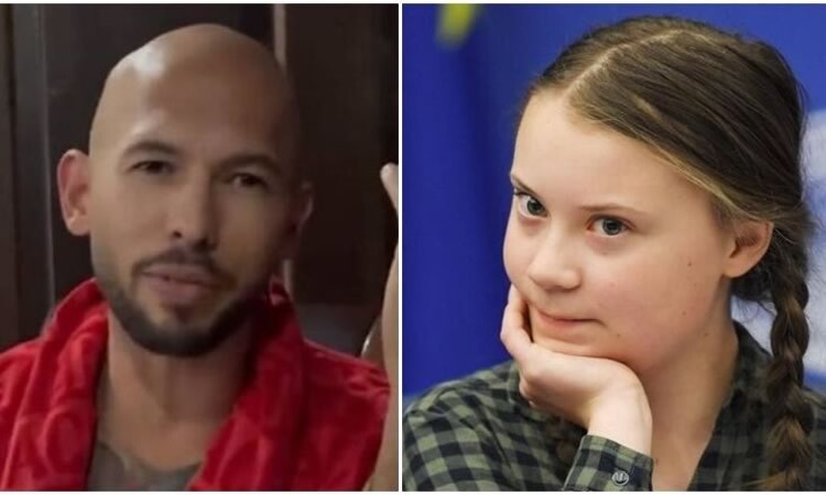 Greta Thunberg, Andrew Tate, Internacional