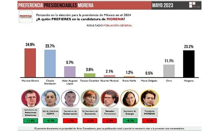 Elecciones 2024